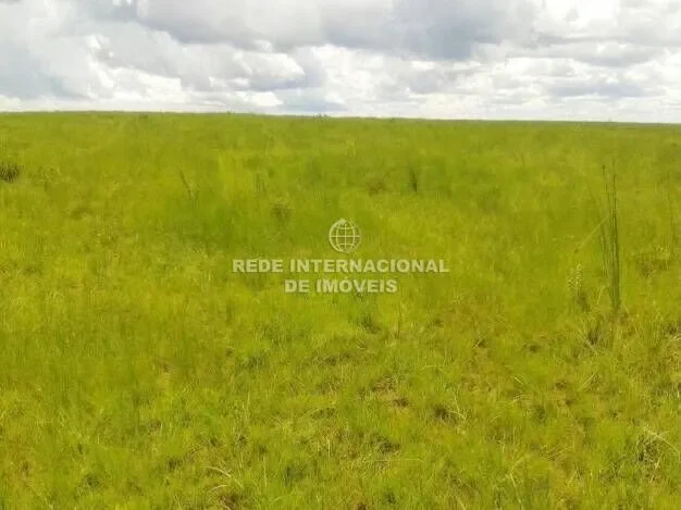 Farm in the Region of São Roque de Minas/MG Total area: 4,226 hectares; Price per hectare: R$28,000