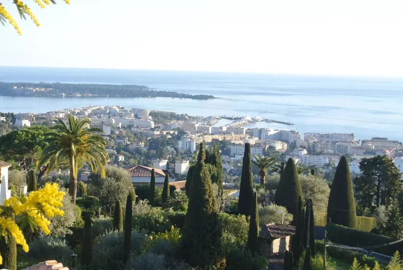 Cannes, Provence-Alpes-Côte d'Azur, France. - Photo 4