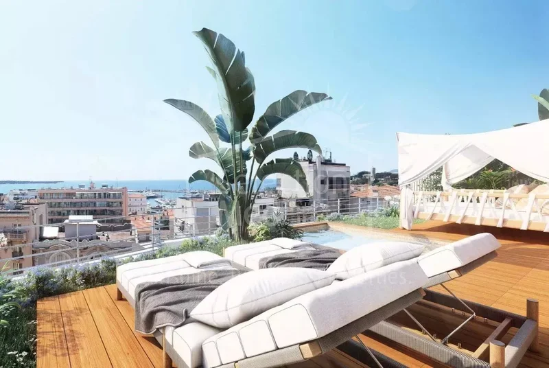 Cannes, Provence-Alpes-Côte d'Azur, France. - Photo 8