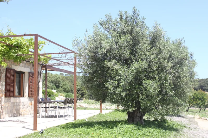 J894+GVH, 07530 San Lorenzo de Cardessar, Illes Balears, España, Sant Llorenc des Cardassar, Balearic Islands, Spain. - Photo 40