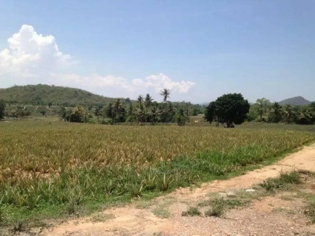 Prachuap Khiri Khan,, Hua Hin, Prachuap Khiri Khan, Thailand. - Photo 3