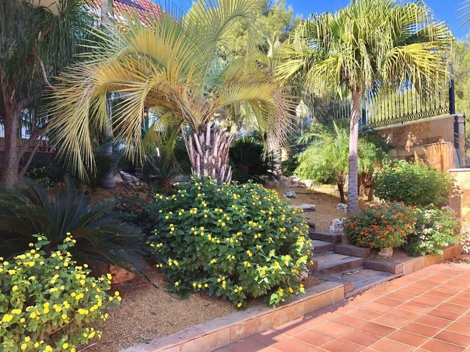 Murcia, Region of Murcia, Spain. - Photo 16