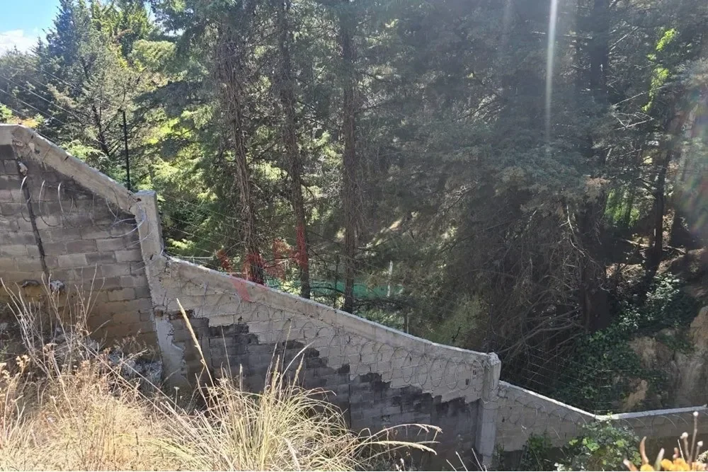 Gallery photo 12