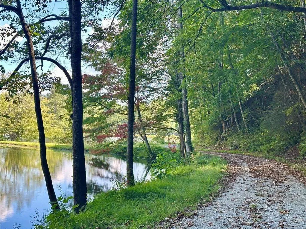 Clarkesville, Georgia, United States. - Photo 29