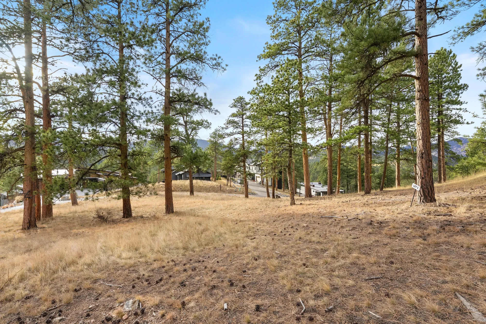 5236 Mountain Vista Lane , Evergreen, CO 80439, Evergreen, Colorado, United States. - Photo 11