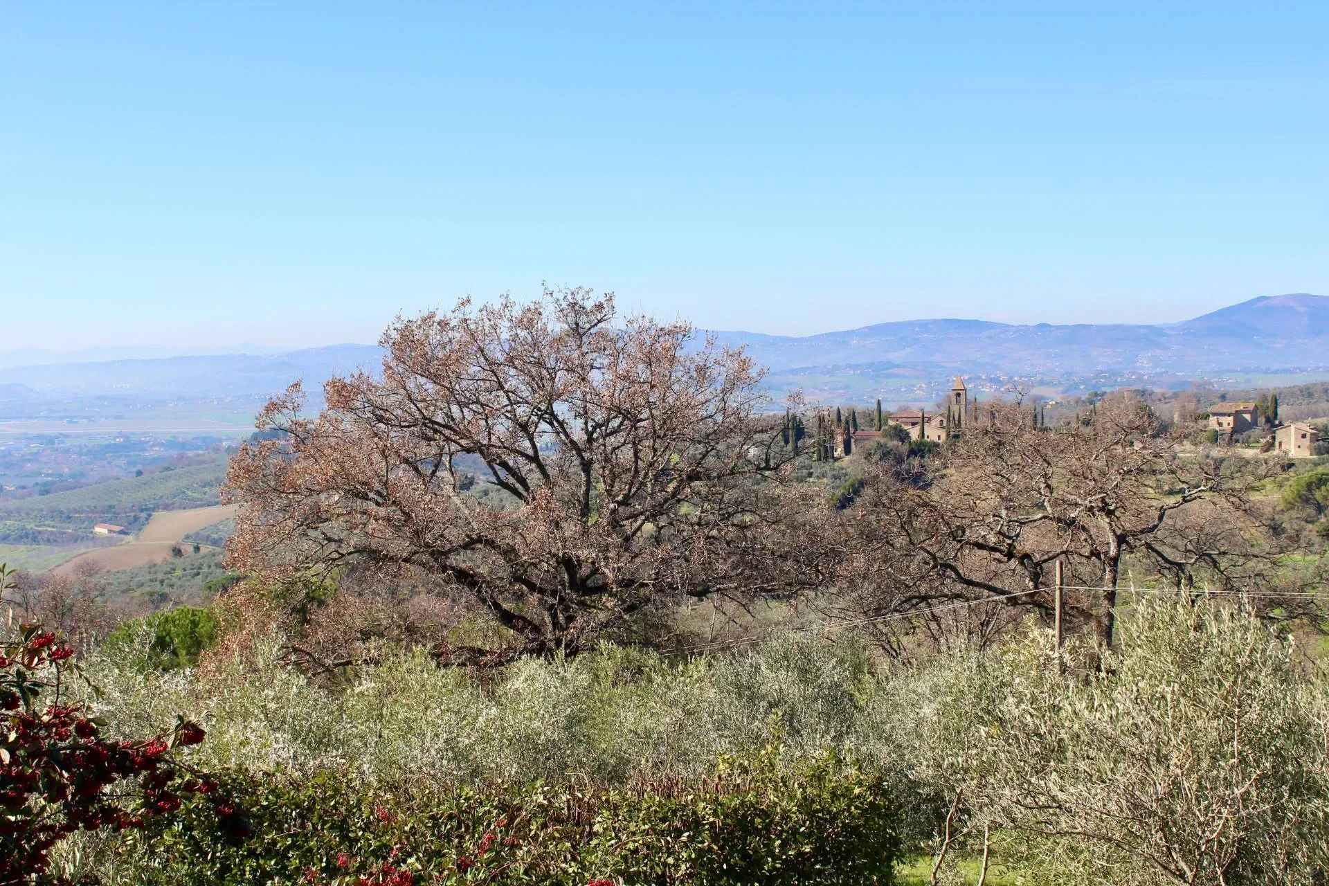 Rustico/Casale/Corte in vendita a Assisi, Mora