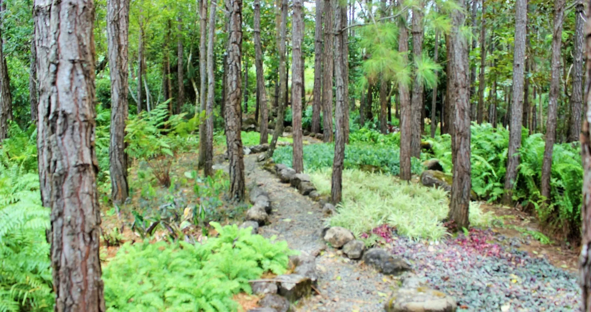 Gallery photo 2