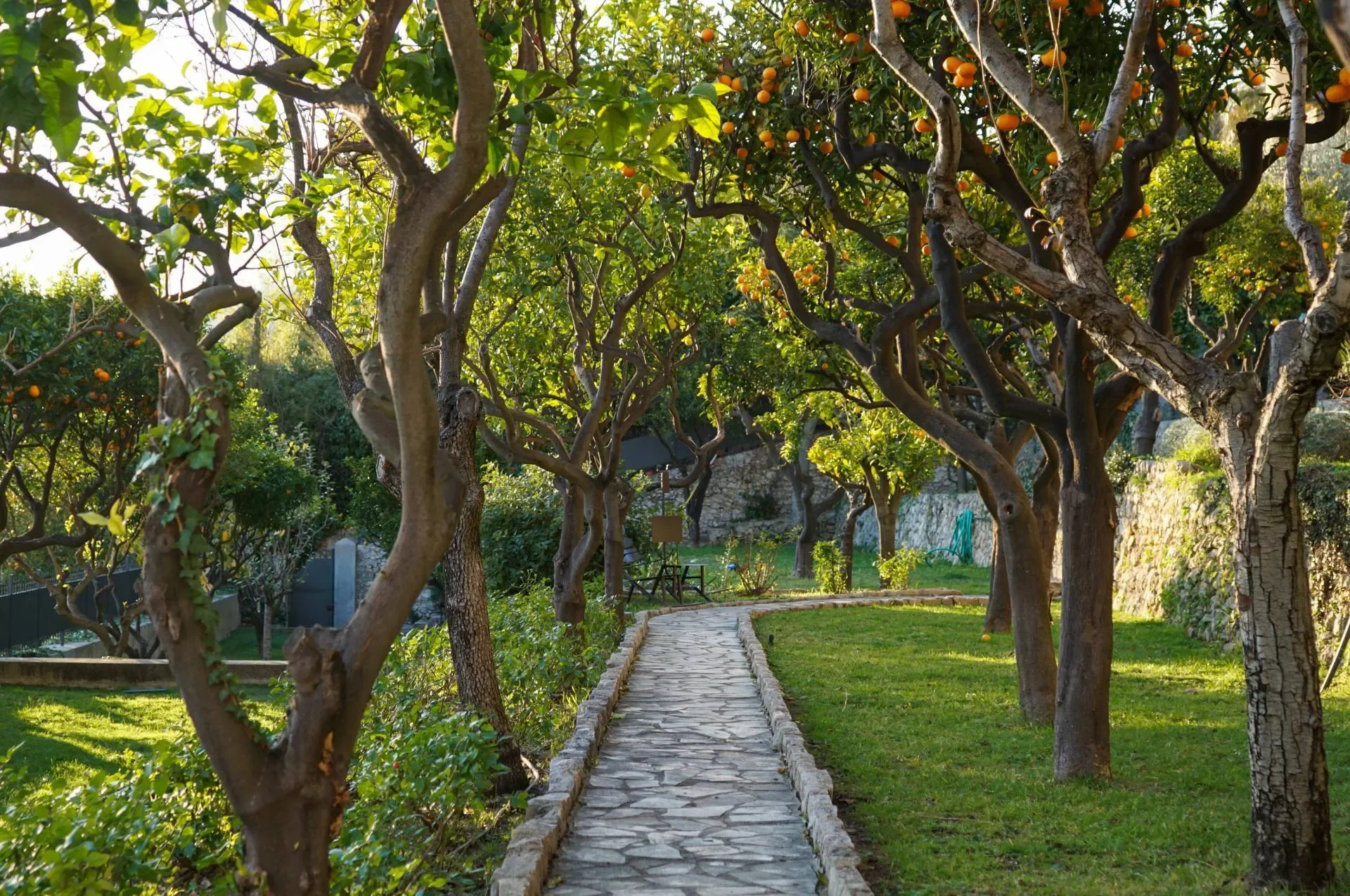 Saint-Paul-Garavan, Menton, Provence-Alpes-Côte d'Azur, France. - Photo 6