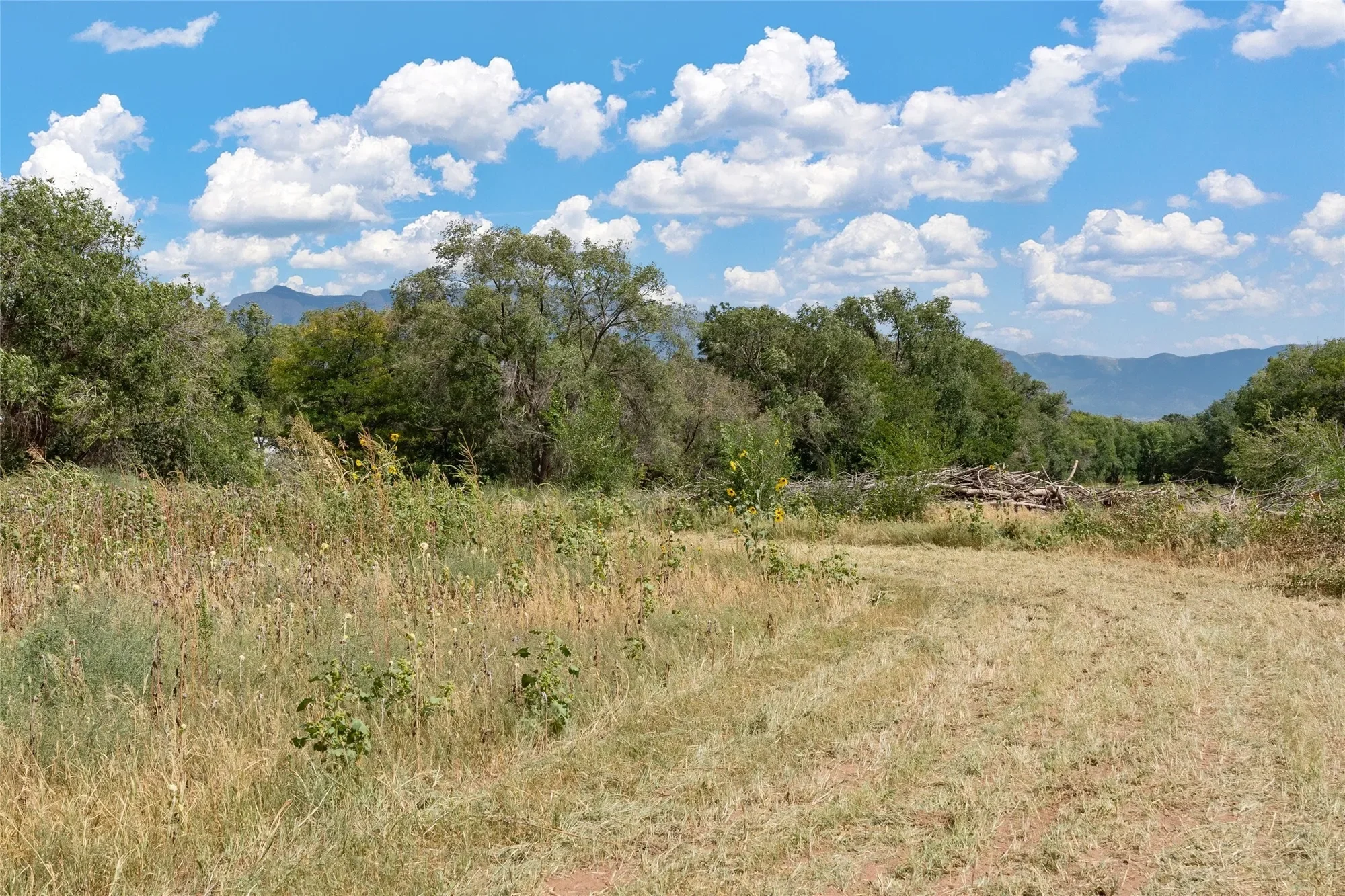 0 Wallace Lane, Corrales, NM 87048, Corrales, New Mexico, United States. - Photo 12