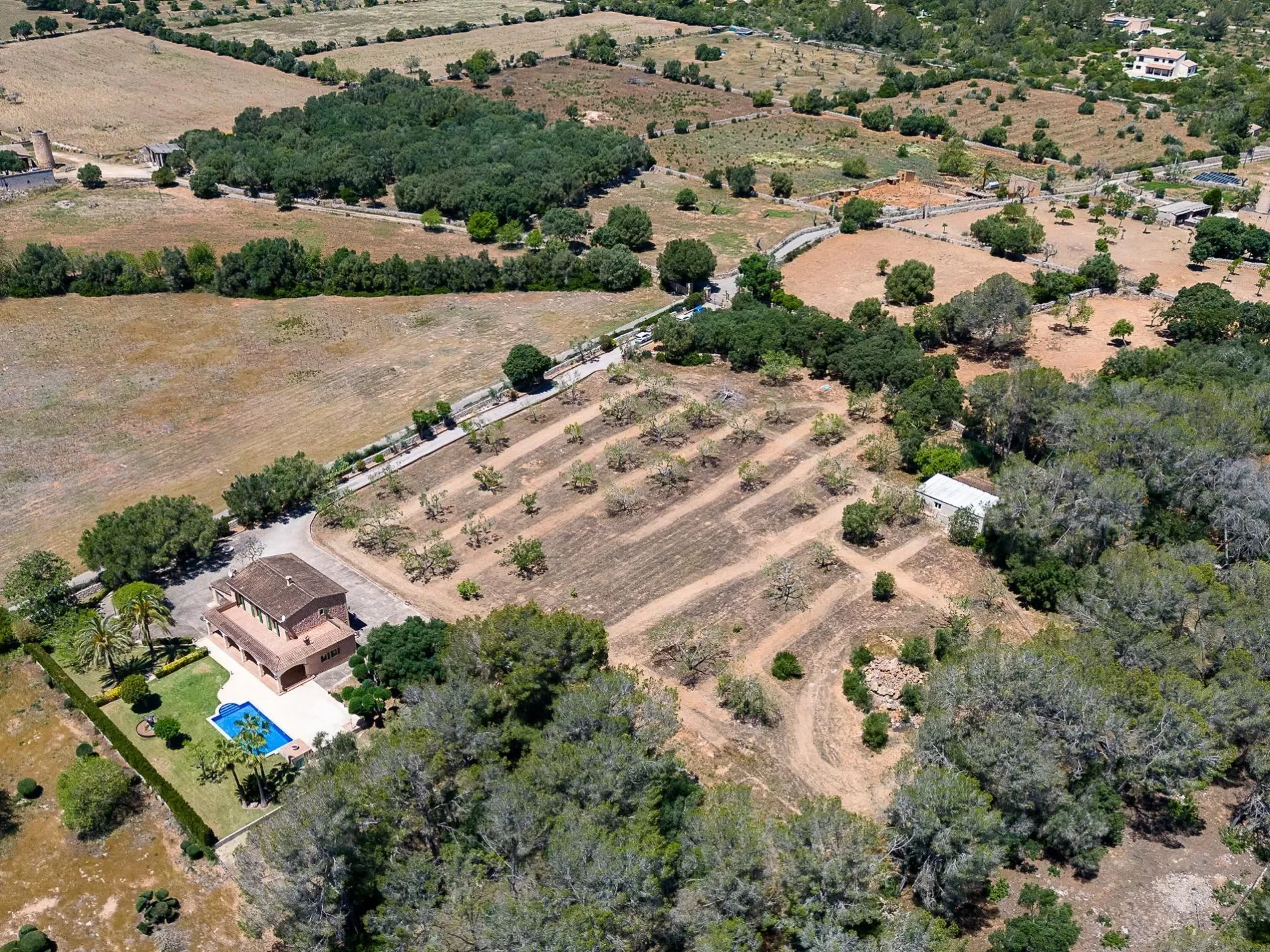 Pina, Algaida, BALEARES, Algaida, Algaida, Balearic Islands, Spain. - Photo 38