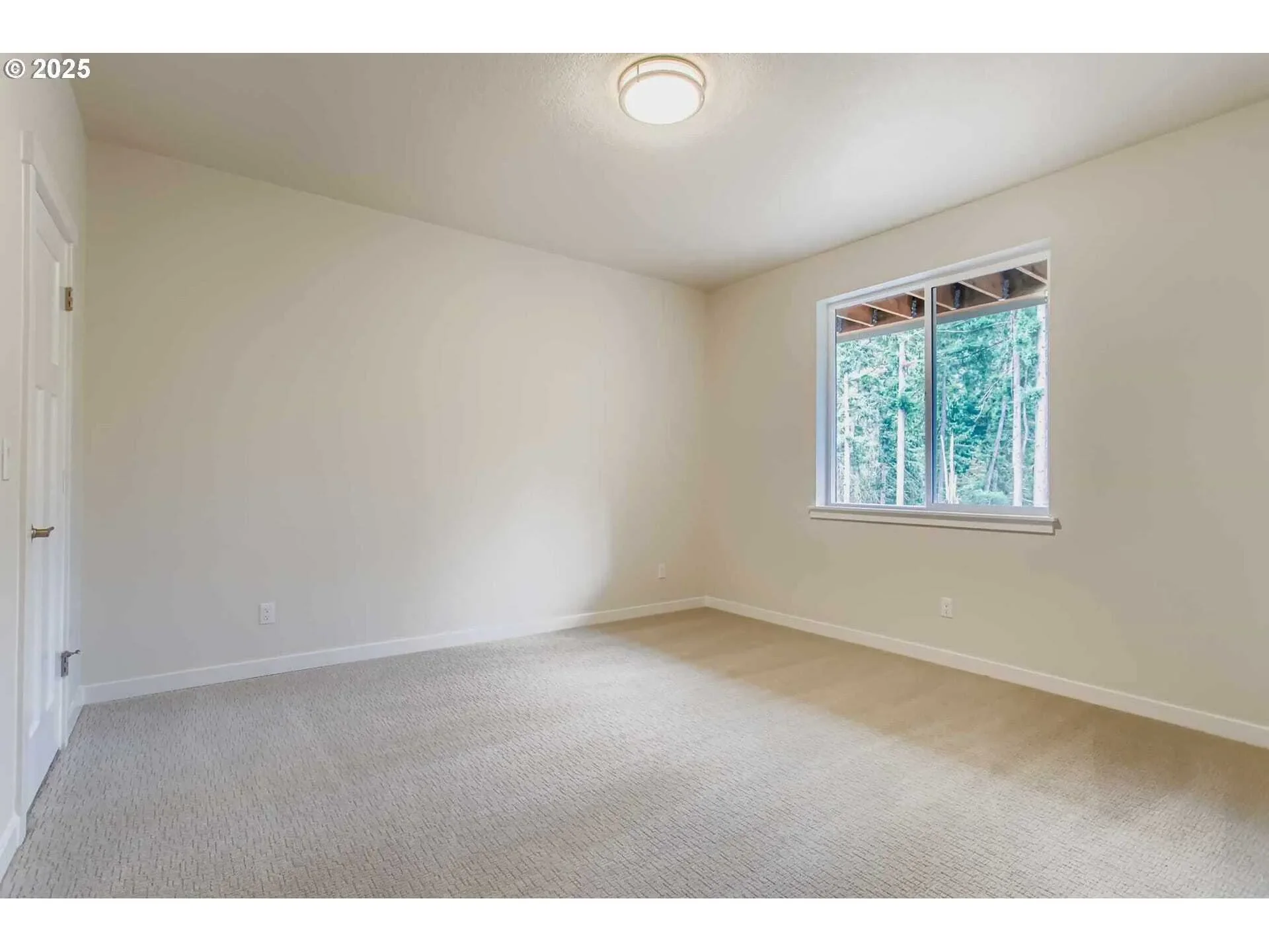 Gallery photo 10