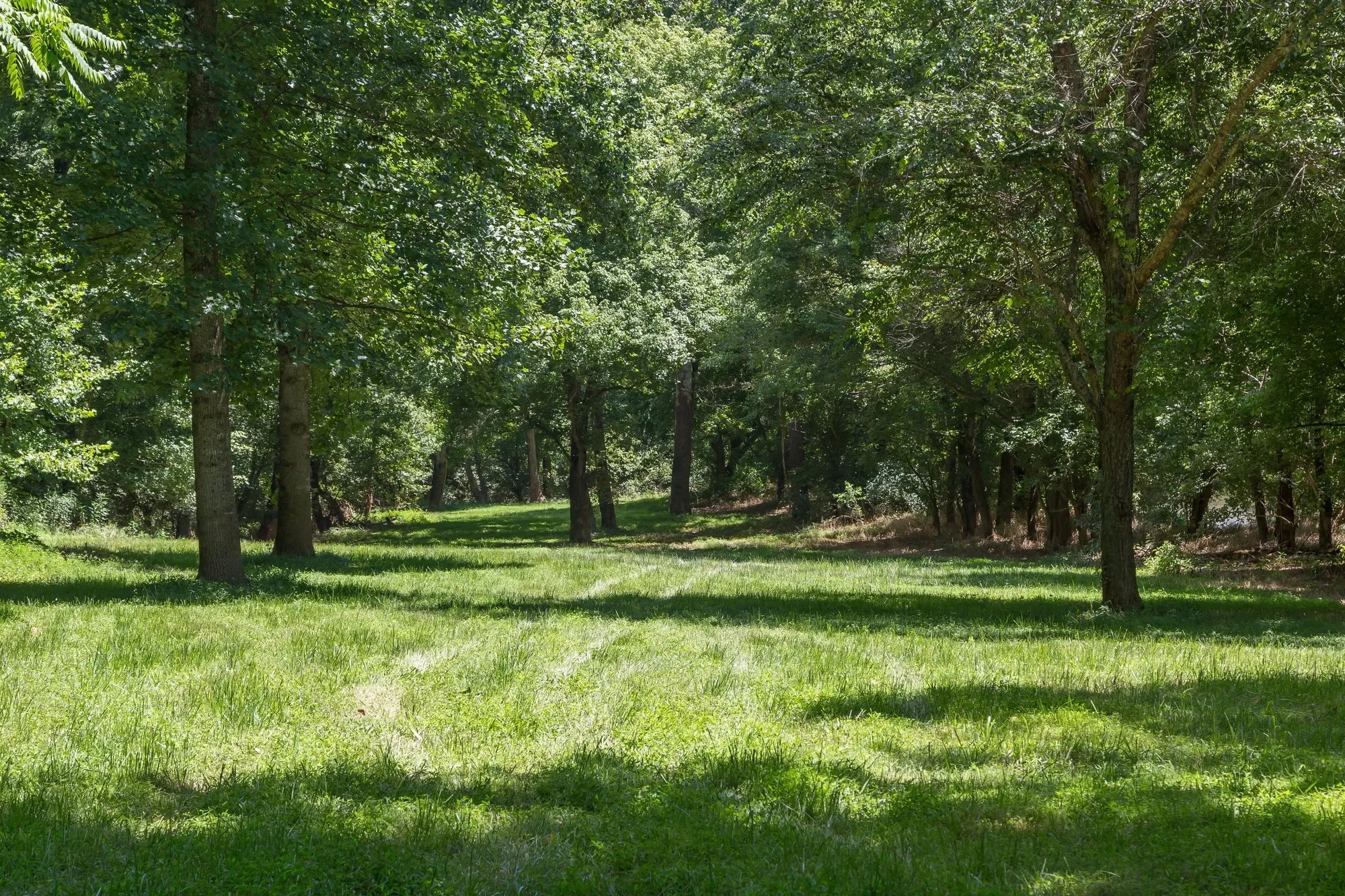240 Stoneleigh Road, Palmyra, VA 22963, Lake Monticello, Virginia, United States. - Photo 46