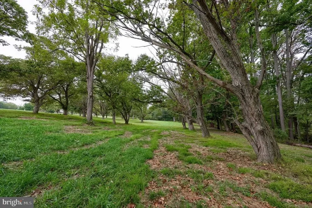 85 GREEN HAVEN DR DRIVE, ELKTON, MD 21921, Elkton, Maryland, United States. - Photo 40