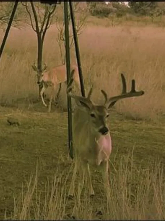 1025 FM 765, Lohn, Texas, United States. - Photo 20