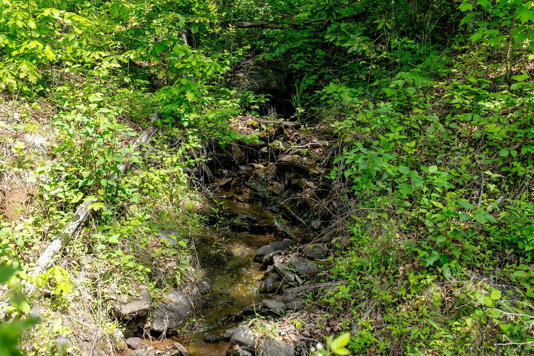 444 Woodring Cemetery Road, Tuckasegee, NC 28783, 28783, North Carolina, United States. - Photo 29
