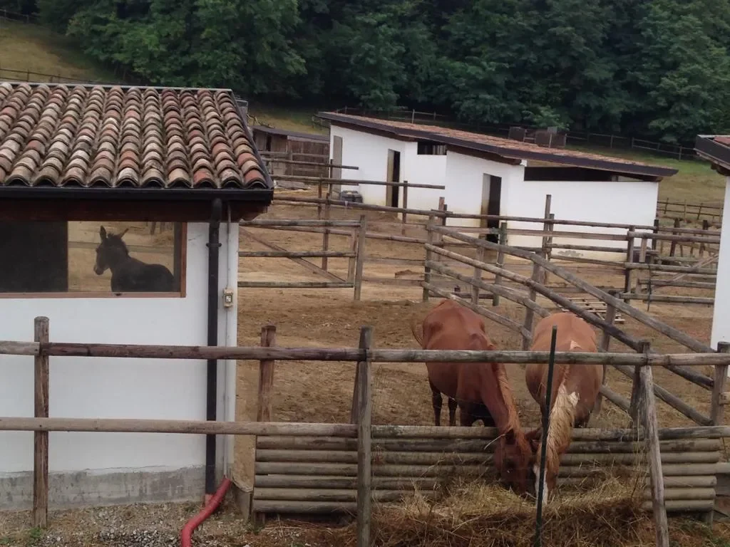 15051 Carezzano AL, Italy, Carezzano Superiore, Piedmont, Italy. - Photo 2