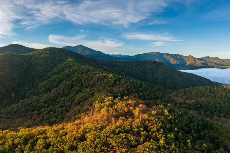 2155 Ashland Mine Road, Ashland, OR, 97520, USA, Ashland, Oregon, United States. - Photo 2