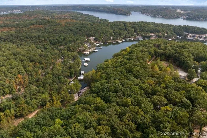 Mistwood Harbor Drive, Camdenton, MO 65020, Camdenton, Missouri, United States. - Photo 3