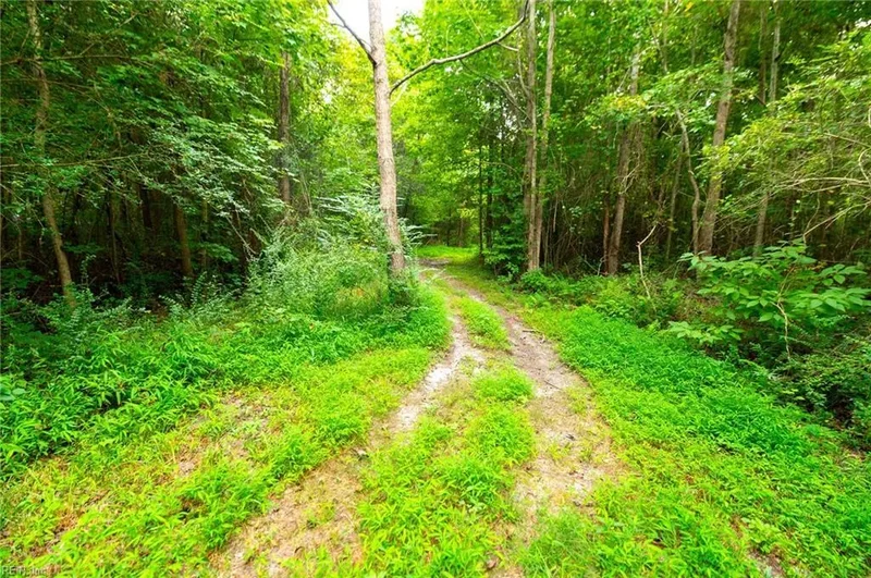 2532 Wild Horse Ridge, Chesapeake, VA 23322, Chesapeake, Virginia, United States. - Photo 28