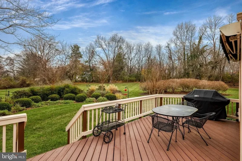 10100 WALKER LAKE DR, GREAT FALLS, VA, 22066, USA, Great Falls, Virginia, United States. - Photo 86