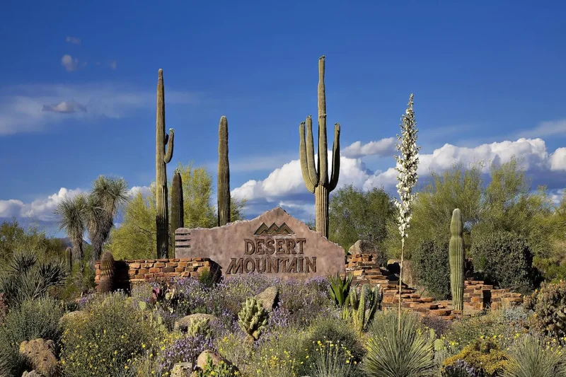 40274 N 105th Place , Scottsdale, AZ 85262, Scottsdale, Arizona, United States. - Photo 66