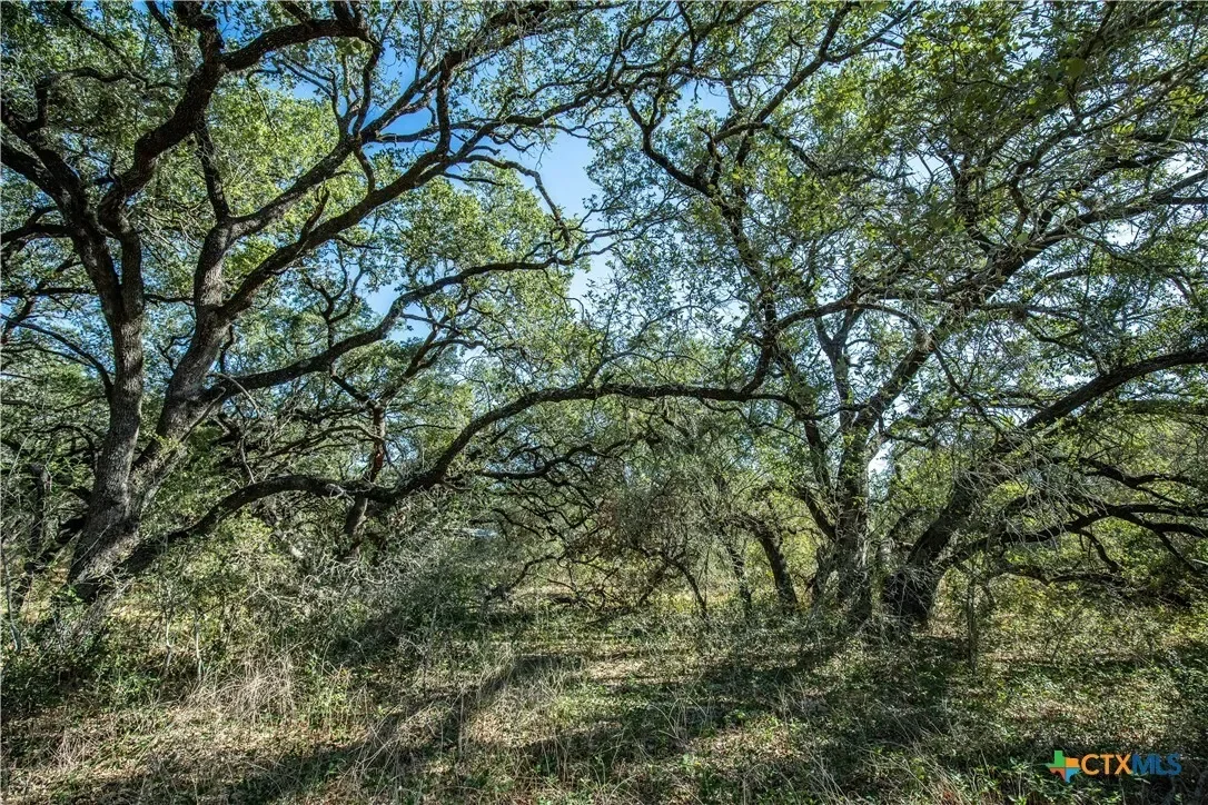 21123 Lamm Road, Elmendorf, TX 78112, Elmendorf, Texas, United States. - Photo 29