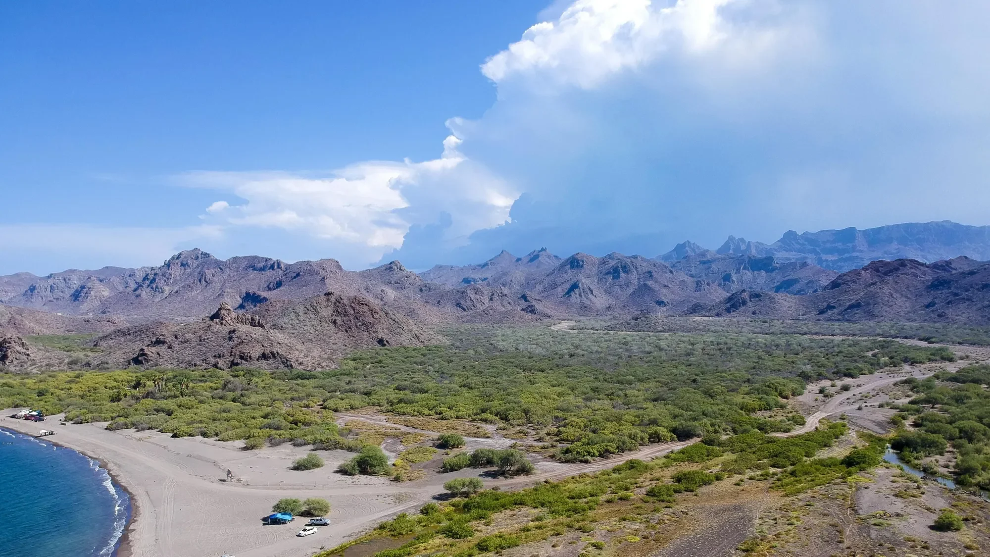 Gallery photo 6