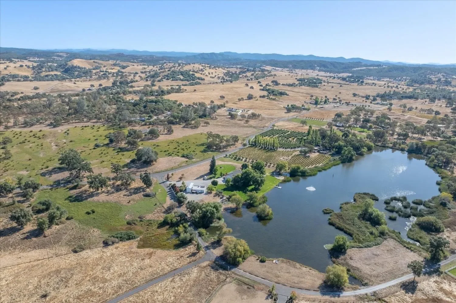 1253 Lakeside Drive, Angels Camp, CA 95222, Angels Camp, California, United States. - Photo 16