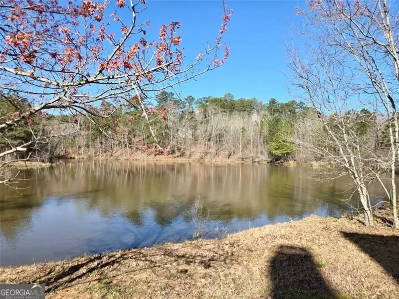 Chattahoochee Hills, Georgia, United States. - Photo 63