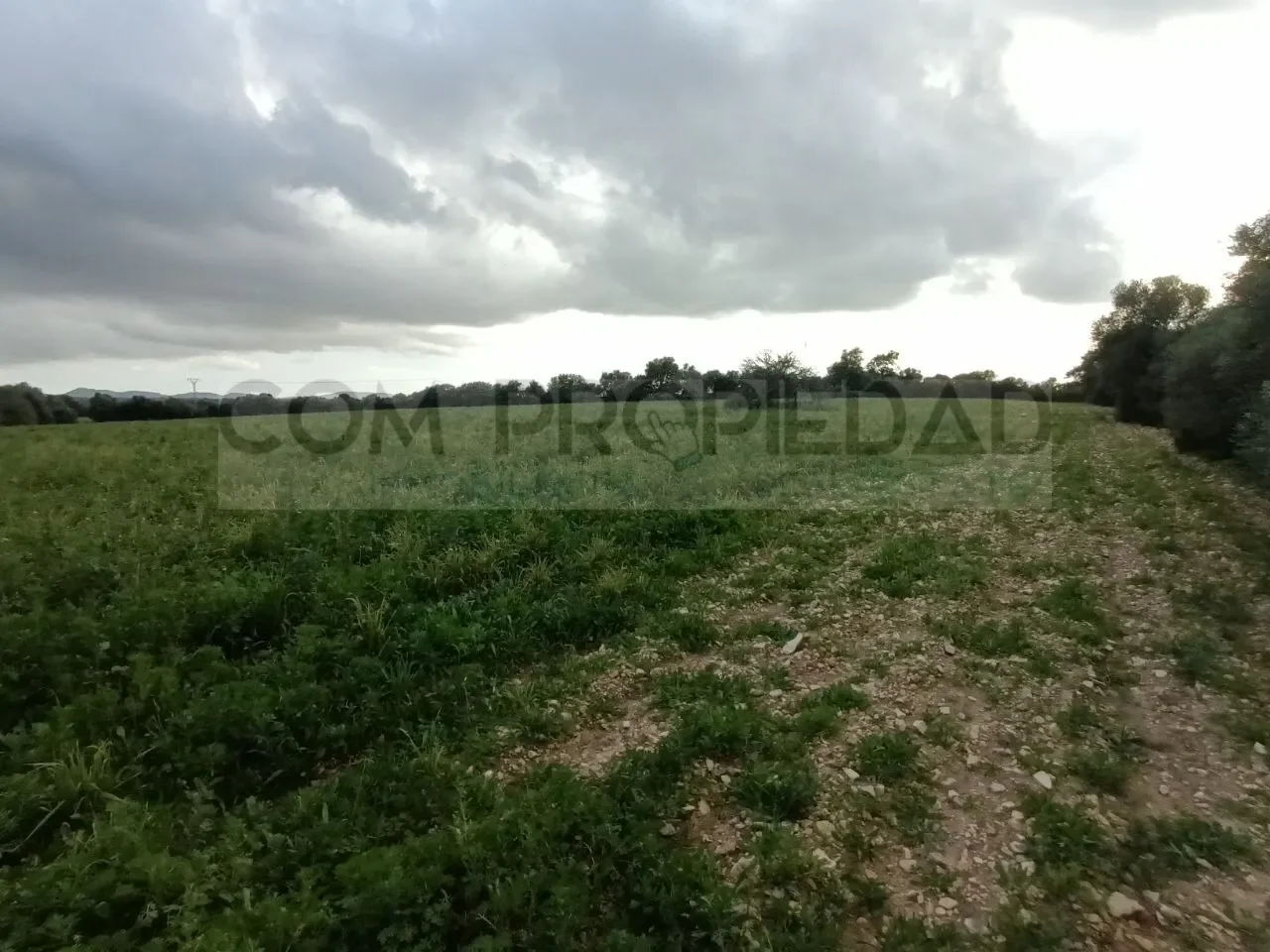 Property photo 11