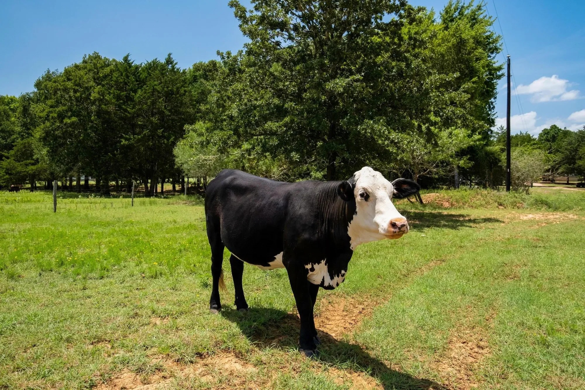 1922 E SH 21, Paige, Texas, United States. - Photo 30