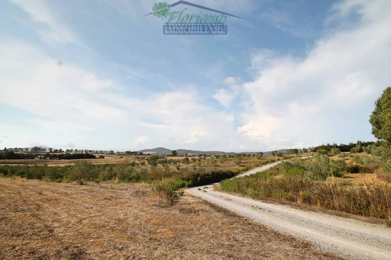Località Cacciata Grande, Montalto di Castro, Lazio, Italy. - Photo 18