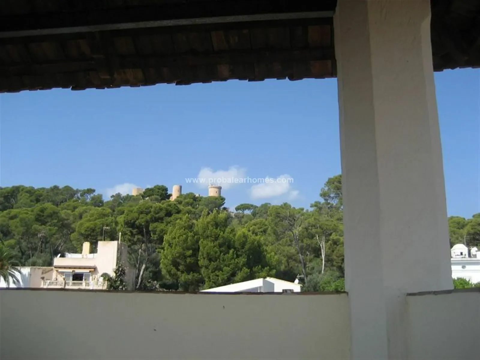 EL TERRENO, PALMA DE MALLORCA, Baleares, PALMA DE MALLORCA, Palma, Balearic Islands, Spain. - Photo 12