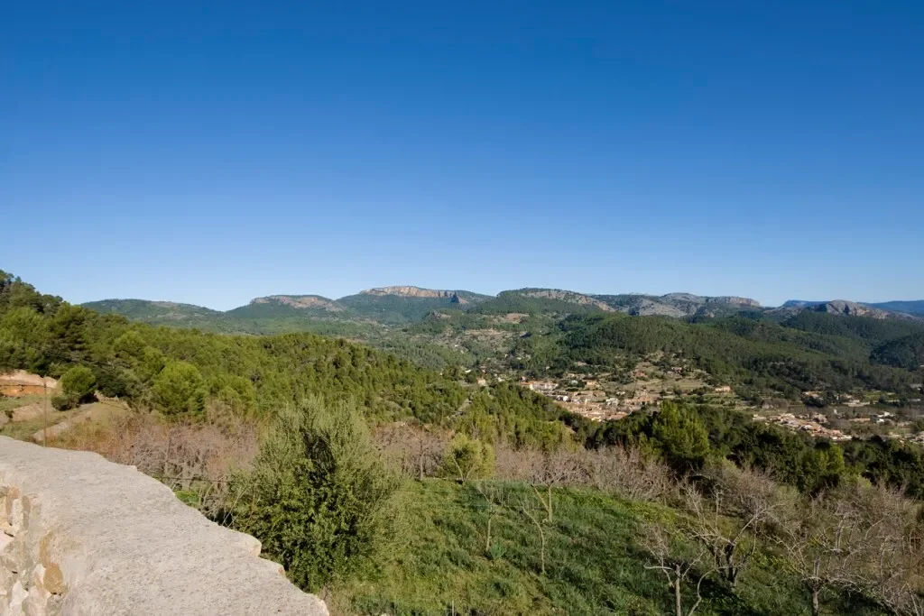 Baleares, Esporles, Balearic Islands, Spain. - Photo 5