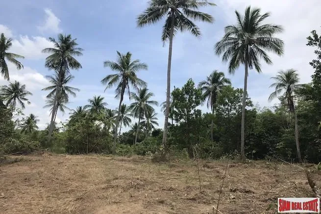 Large Land Plot near the Beach with Some Sea Views in Phang Nga