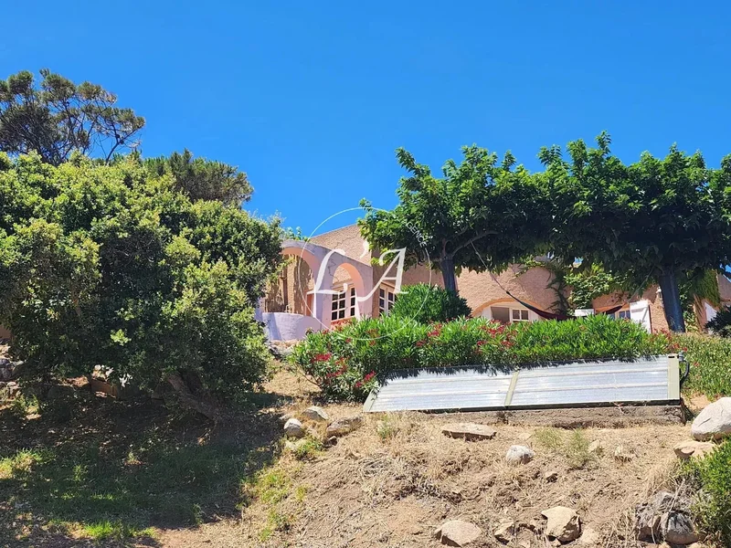 Zonza, Corsica, France. - Photo 27