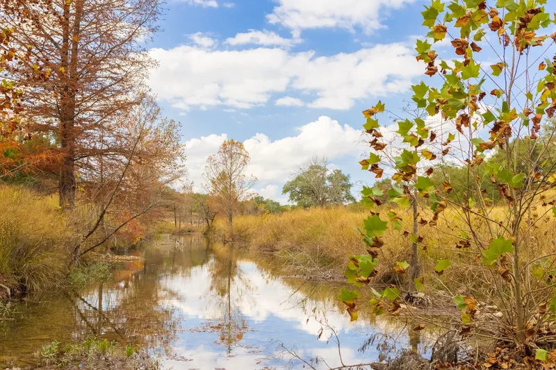 7301 Creek Road , Dripping Springs, TX 78620, Dripping Springs, Texas, United States. - Photo 5