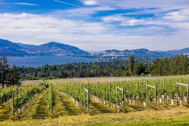4855 Chute Lake Road, Kelowna, BC V1W 4M3, Kelowna, British Columbia, Canada. - Photo 42