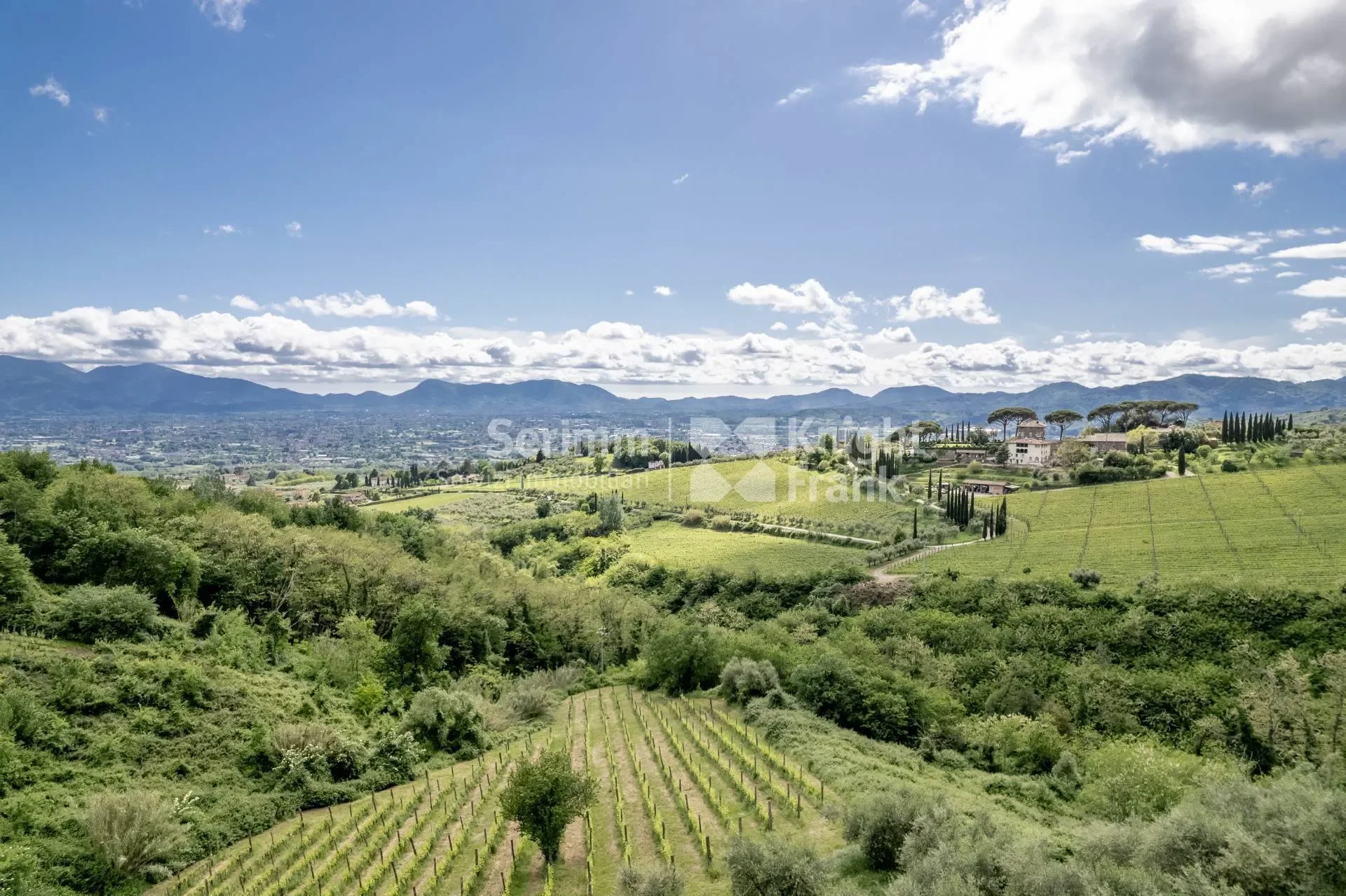 Capannori, Corte Franceschini, Tuscany, Italy. - Photo 2