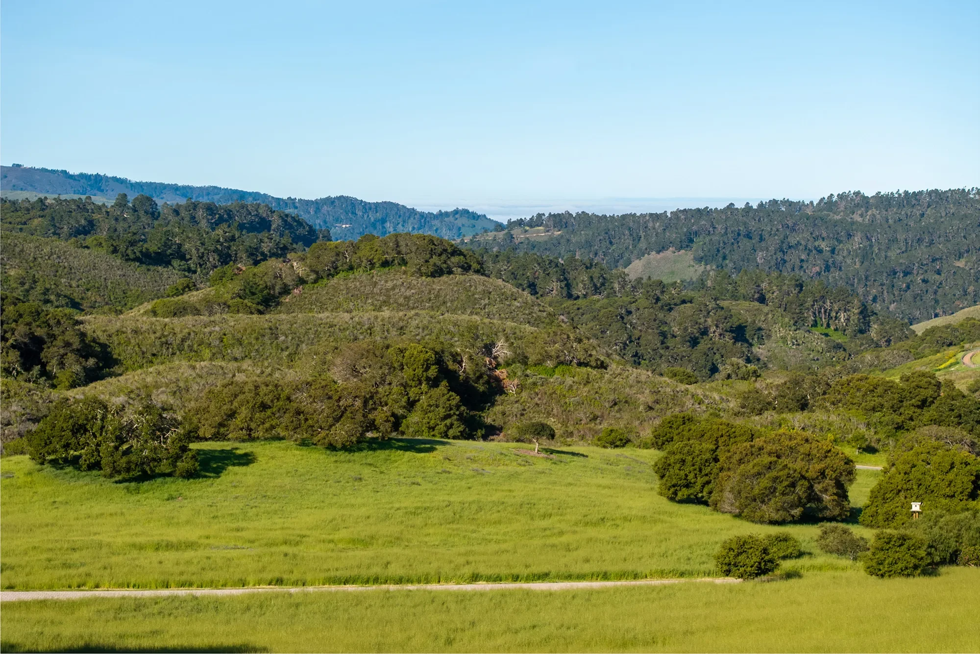 25825 Via Malpaso (Lot 68), Carmel, CA 93923, Carmel-by-the-Sea, California, United States. - Photo 7