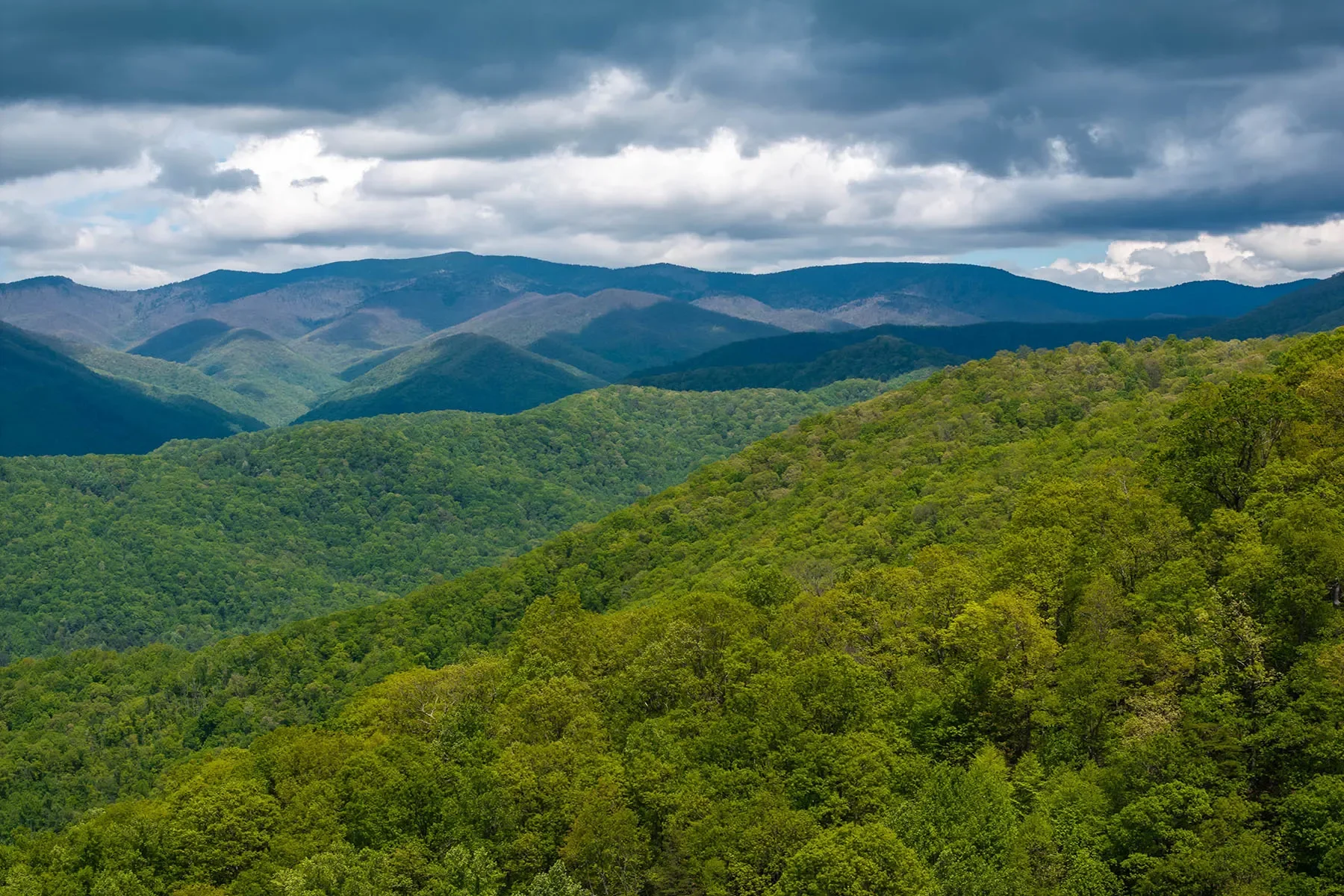 444 Woodring Cemetery Road, Tuckasegee, NC 28783, 28783, North Carolina, United States. - Photo 24