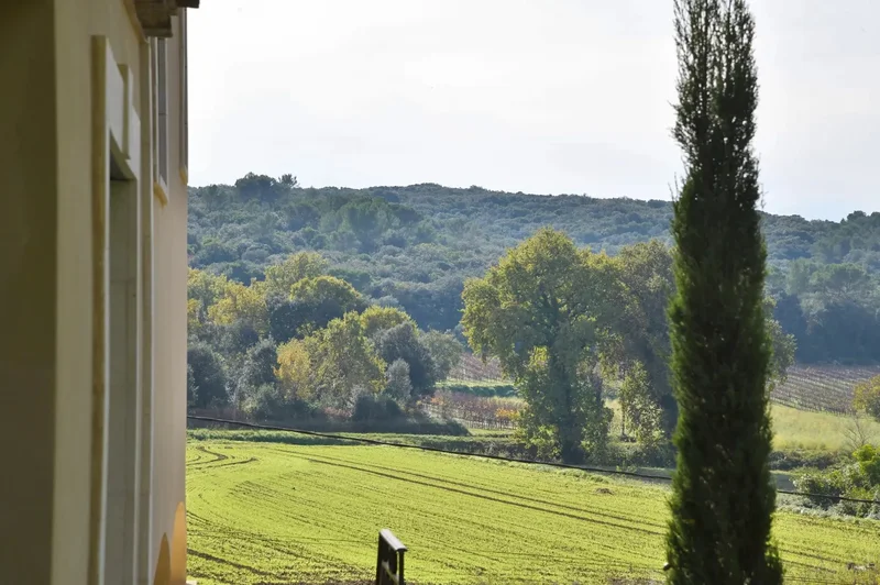 Saint-Maximin, Occitanie, France. - Photo 5