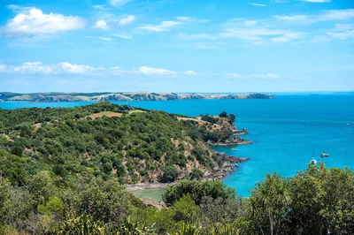 Thumbnail 11