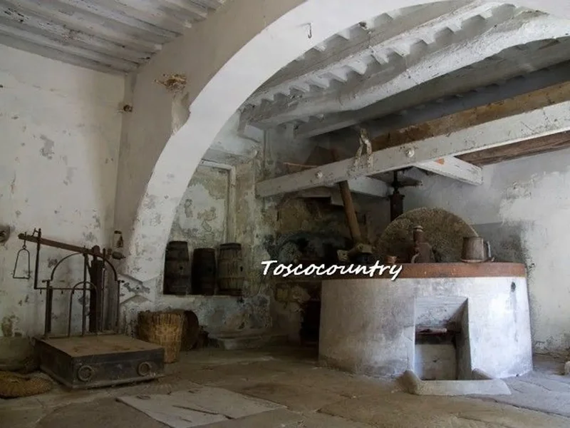 roma, La Pieve, Tuscany, Italy. - Photo 33
