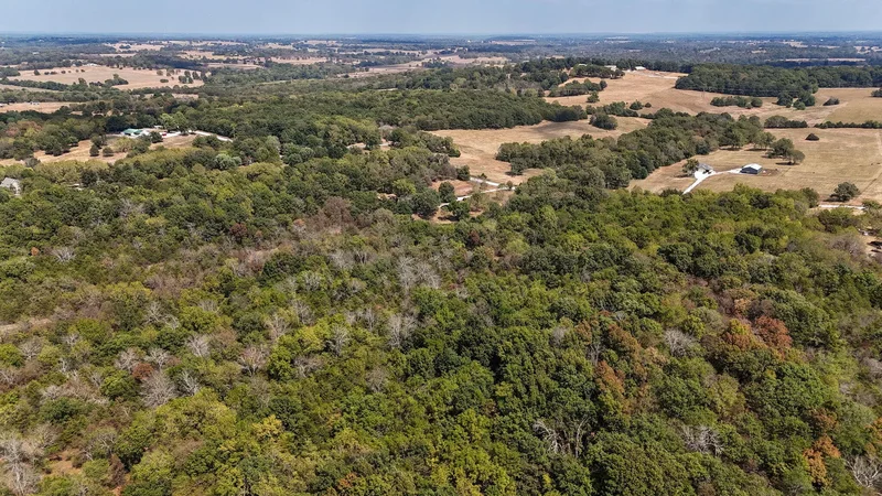 7681 N Farm Road 43, Ash Grove, MO 65604, Ash Grove, Missouri, United States. - Photo 60