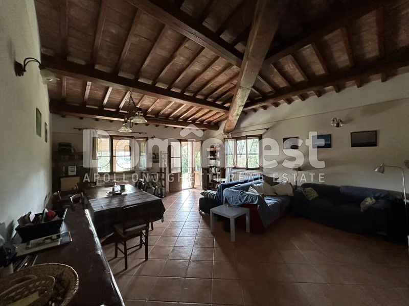 strada villa pinciana, Capalbio, Tuscany, Italy. - Photo 5