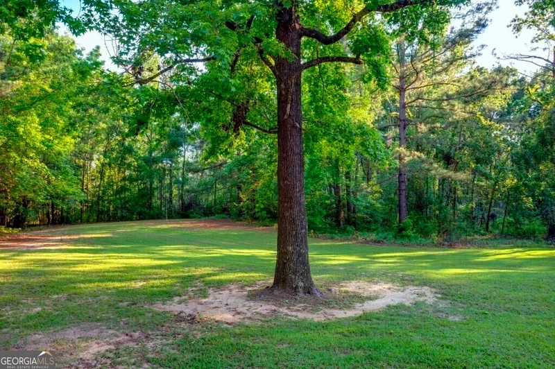 Midville, Georgia, United States. - Photo 64
