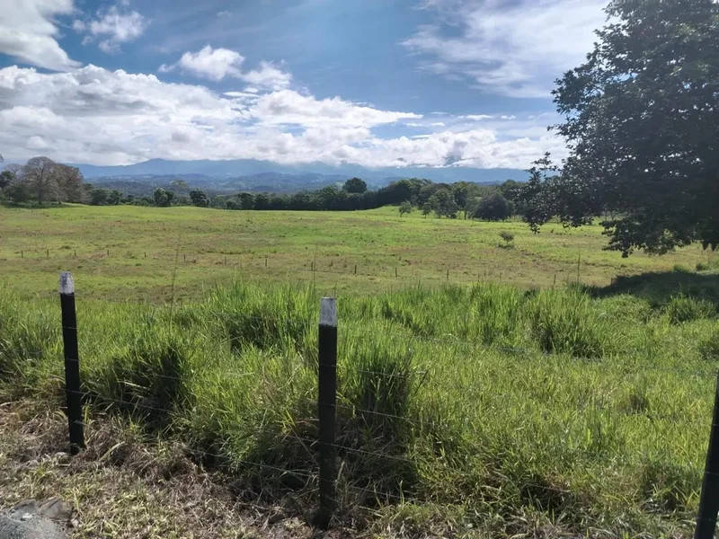 Monte Lirio, Chiriquí Province, Panama. - Photo 6
