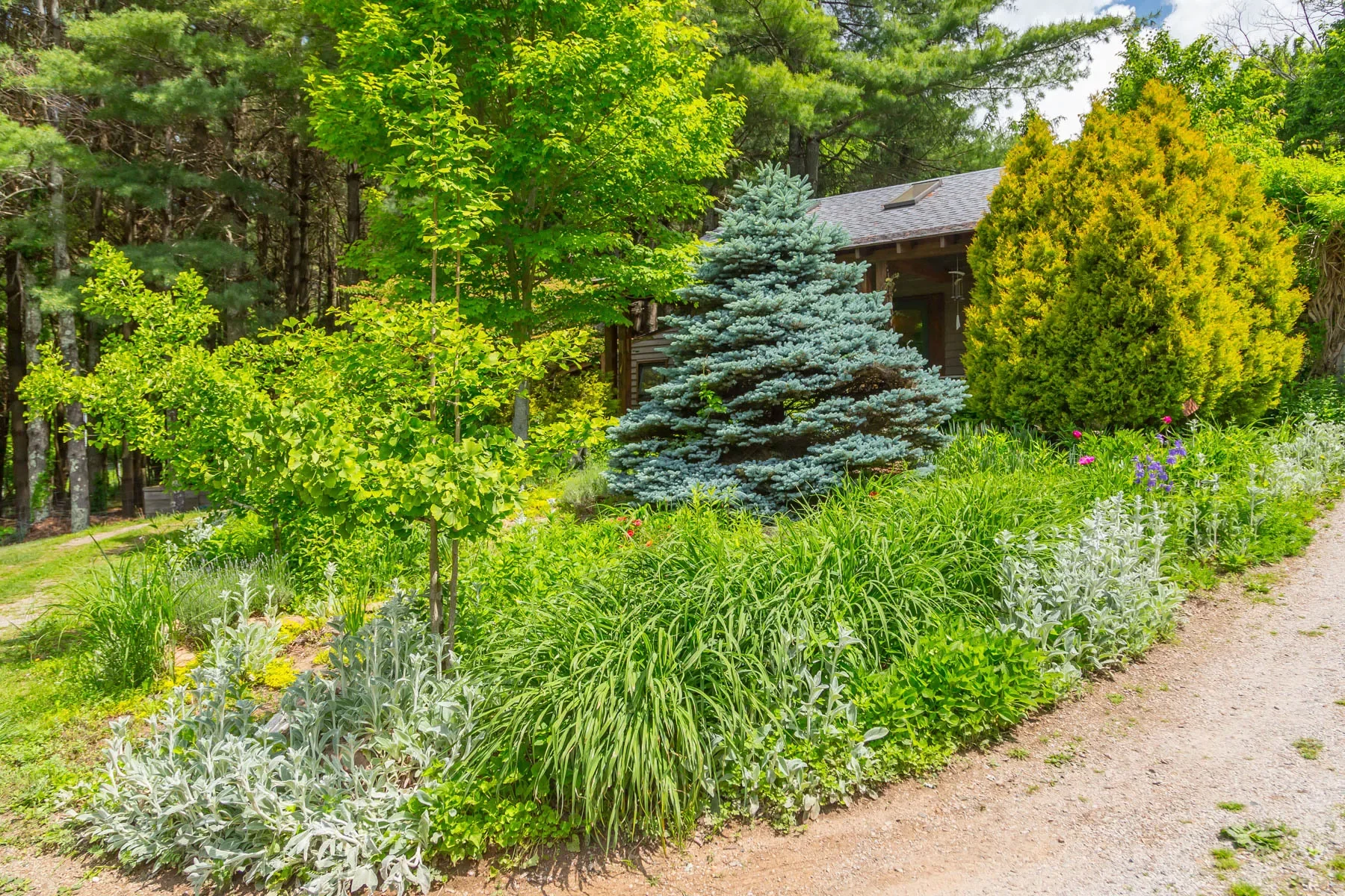 174 Sarvisberry Lane SW, Floyd, VA 24091, Floyd, Virginia, United States. - Photo 51