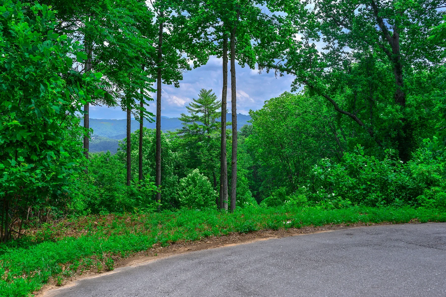 62 Destination Drive, Asheville, NC 28806, Asheville, North Carolina, United States. - Photo 44